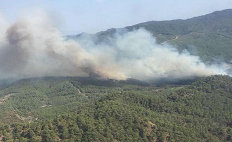 Datça'daki orman yangınına 1 milyon liralık tazminat davası
