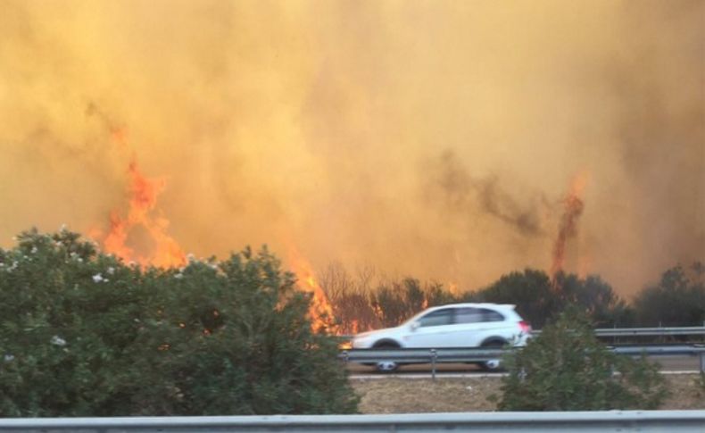 İzmir'de otoyol kenarında çıkan orman yangını korkuttu
