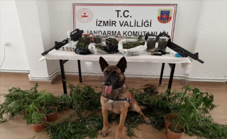 İzmir'de uyuşturucu operasyonunda 21 şüpheli yakalandı