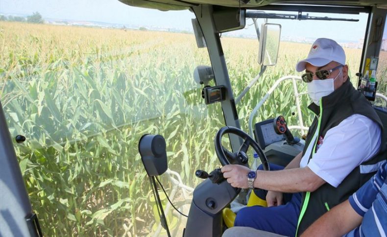 İzmir Valisi Köşger, mısır hasadına katıldı