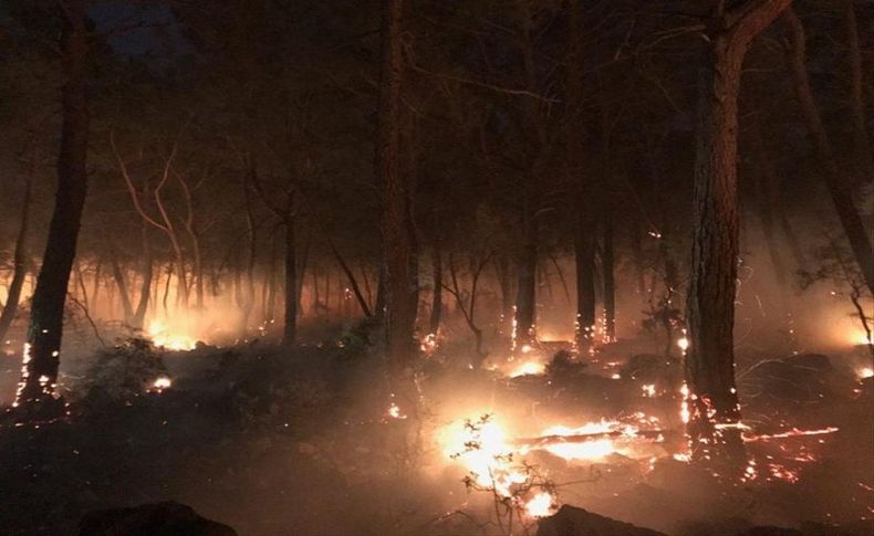 Muğla'daki orman yangınında 34 ev tahliye edildi