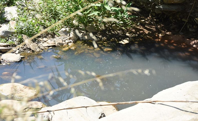 Yeşilköy'de foseptik çukuru sularının dereye aktığı iddia edildi