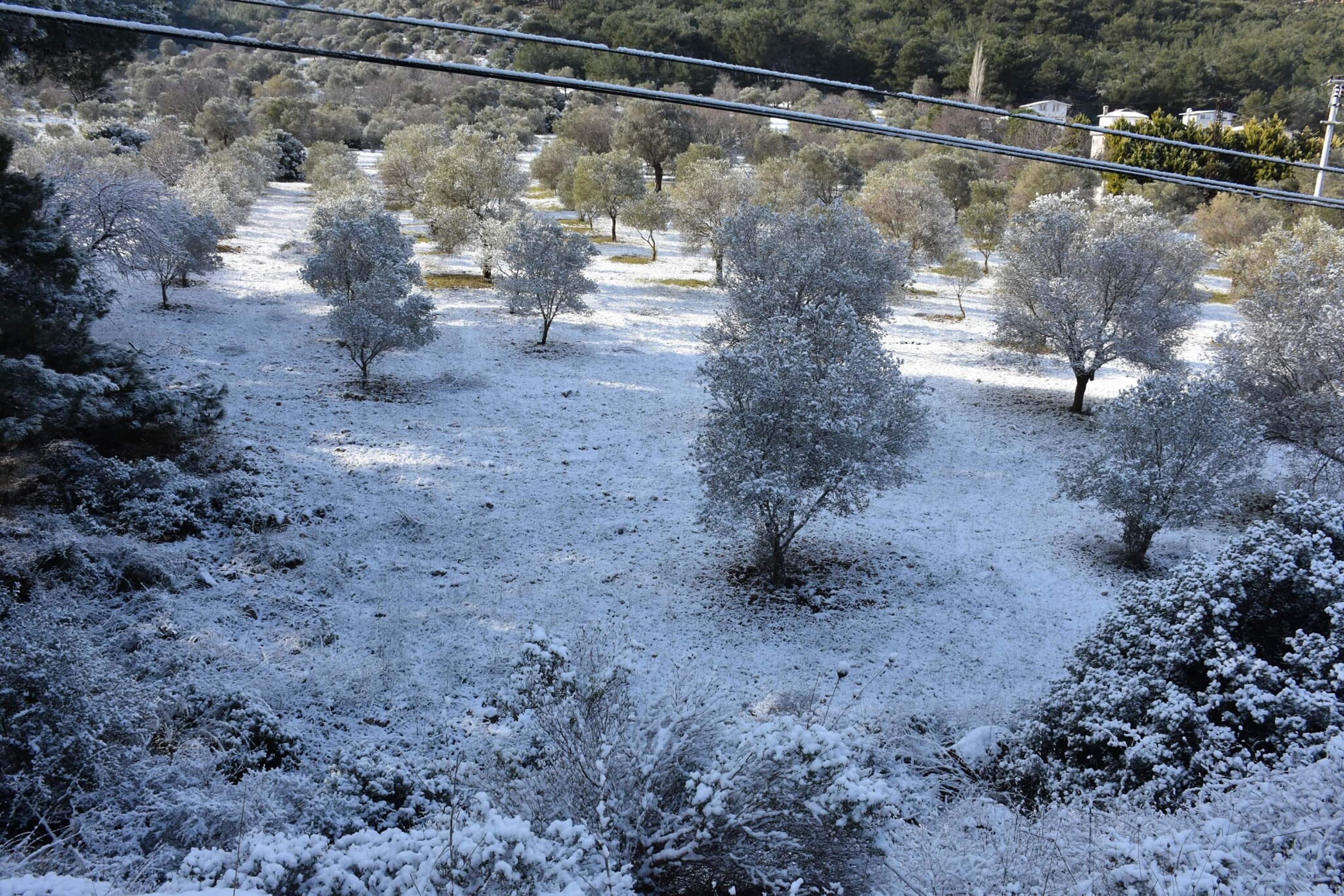 İzmir’de yeni yılın ilk gününde kar yağışı etkili oldu