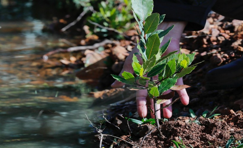 Yamanlar, yeniden yeşile bürünüyor