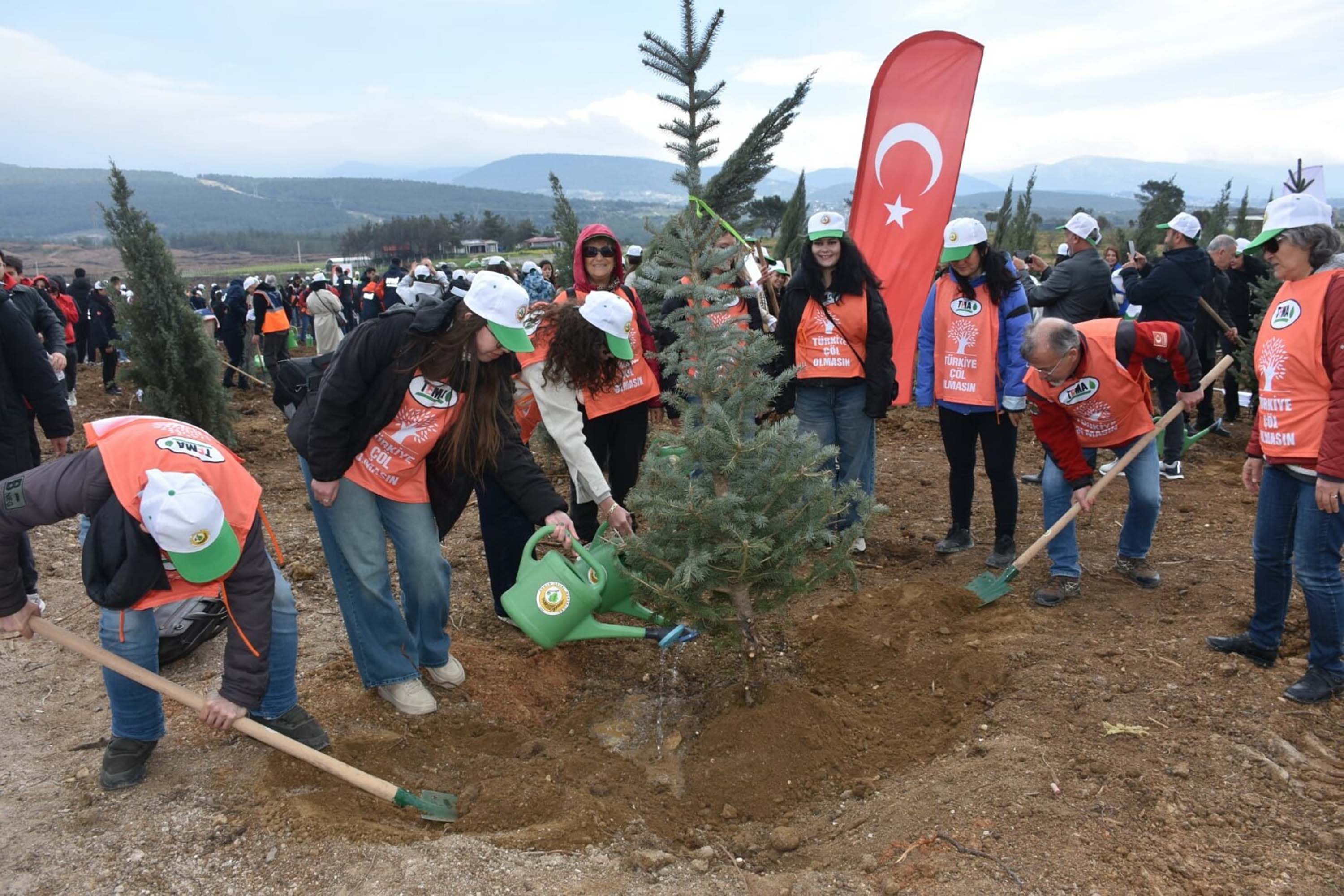 İzmir'de yanan alanda 15 bin fidan toprakla buluşturuldu