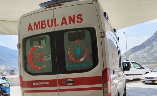 Artvin'de arazi anlaşmazlığı nedeniyle çıkan kavgada 3 kardeş öldü