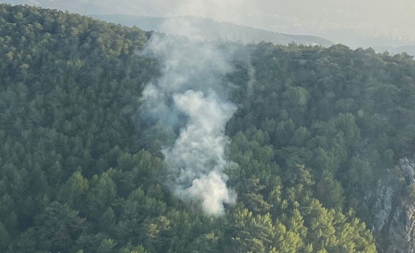 İzmir'de orman yangını... Yaklaşık bir saatte kontrol altına alındı