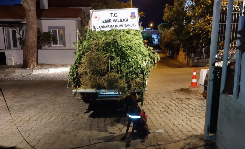İzmir'deki uyuşturucu operasyonlarına 65 gözaltı