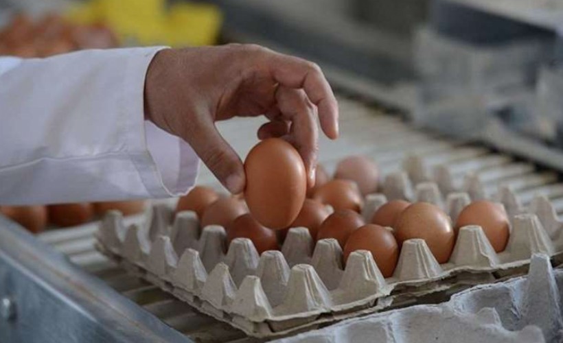Rekabet Kurulu'ndan yumurta üreticisine 'kartel' cezası