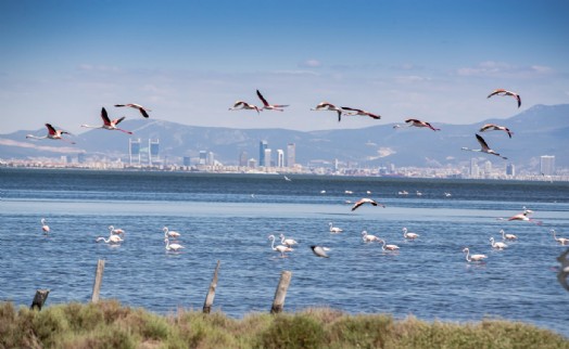 İzmir '2024'te Seyahat Edilmesi Gereken 10 Şehir' listesine girdi