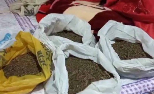 İzmir'de jandarmadan 9 adrese uyuşturucu baskını