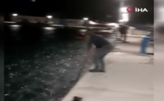 Yunanistan'da binlerce balık kıyıya vurdu