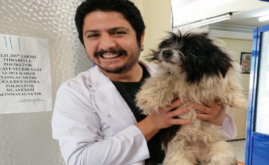 Büyükşehir'den can dostlar için 'Pako' mobil uygulaması