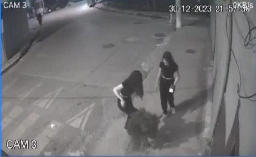 İzmir'de 2 genç kızın ağacı tekmeledikleri anlar kamerada