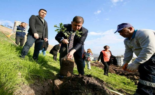 Karşıyaka'da ağaç varlığı hızla artmaya devam ediyor