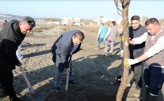 Seferihisar'da şehitlerin anısına ağaç dikildi