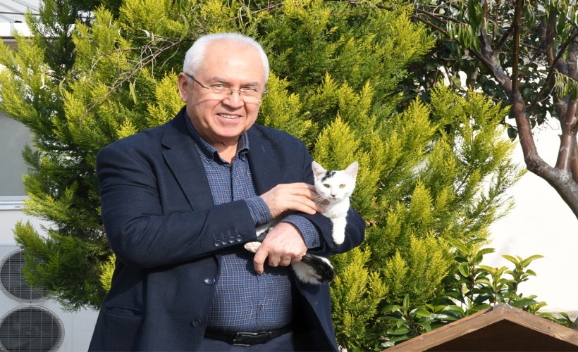 Karabağlar Belediyesi'ne online başvuru ile kediler kısırlaştırılabilecek