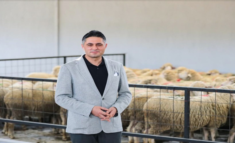 Aliağa'da Damızlık Koyun Üretim Merkezi faaliyete geçti