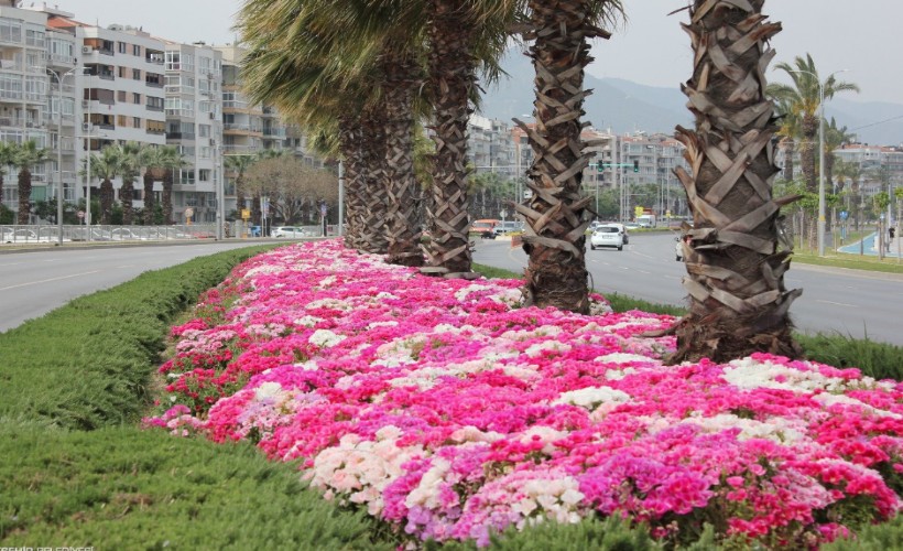 İzmir çiçek açtı