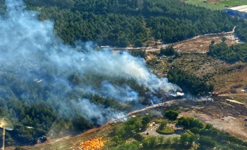İzmir'deki orman yangını hızlı müdahale ile hemen kontrol altına alındı