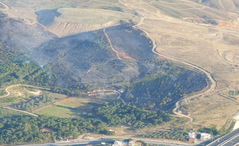 İzmir’deki orman yangını kontrol altına alındı