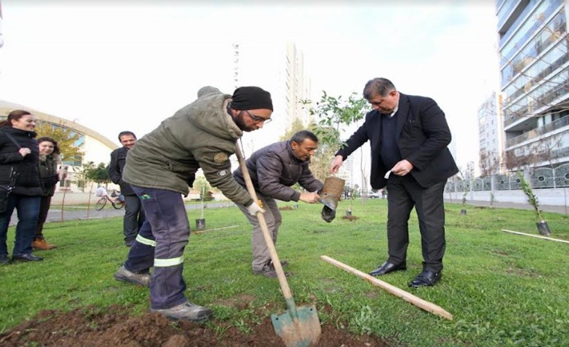 Karşıyaka’da iklim krizine karşı 95 bin ağaç toprakla buluşturuldu