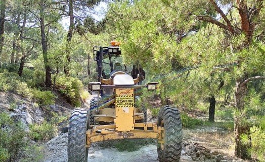 Aliağa'da ormanlık alanlarda hummalı çalışma