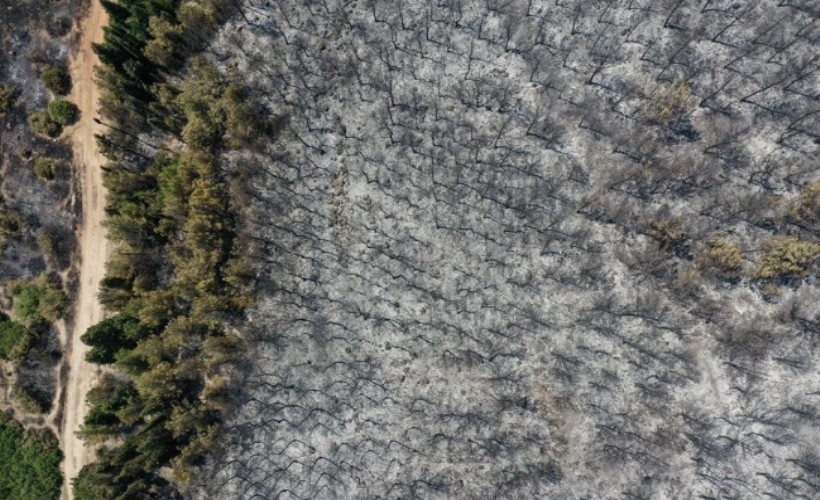 Bakan Koca ve Bakan Yumaklı'dan İzmir'deki yangınlarla ilgili açıklama