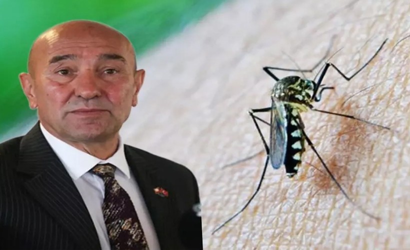 Soyer’den sivrisinekle mücadele açıklaması: Bu işi çözmekte kararlıyız!