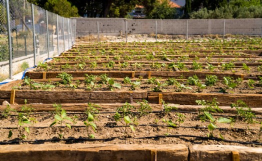Buca'nın Mustafa Kemal Mahallesi'nde Mahalle Bostanı açıldı