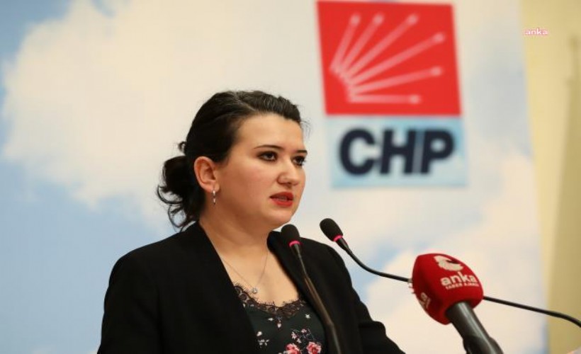 CHP'li Gökçe Gökçen: Bakanlığın görevi çocukları korumaktır