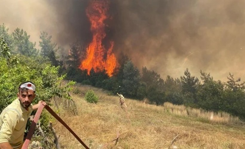 Gökçeada, Osmaniye ve Kahramanmaraş'ta orman yangını