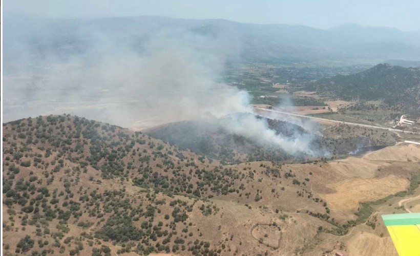 İzmir'de ormana sıçrayan yangın kontrol altında