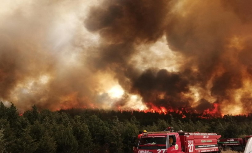 İzmir'de iki ilçede orman yangını!