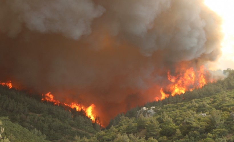 İzmir'de iki ilçede orman yangını başladı, alevlere müdahale ediliyor