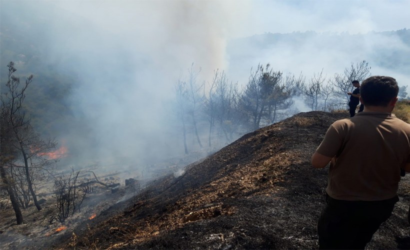 İzmir'deki orman orman yangınları kontrol altına alınarak söndürüldü