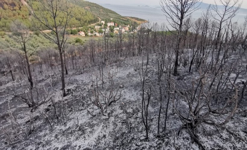 İzmir'deki orman yangınlarında soğutma çalışmaları sürüyor