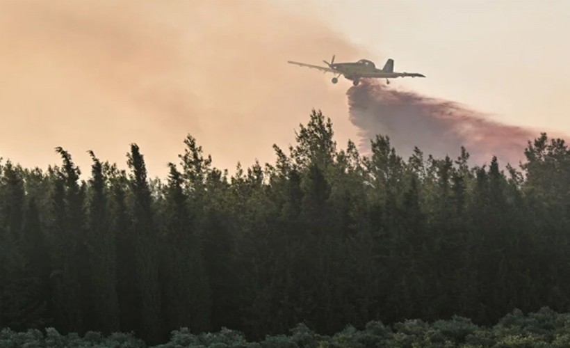 İzmir'deki orman yangınlarında son durum