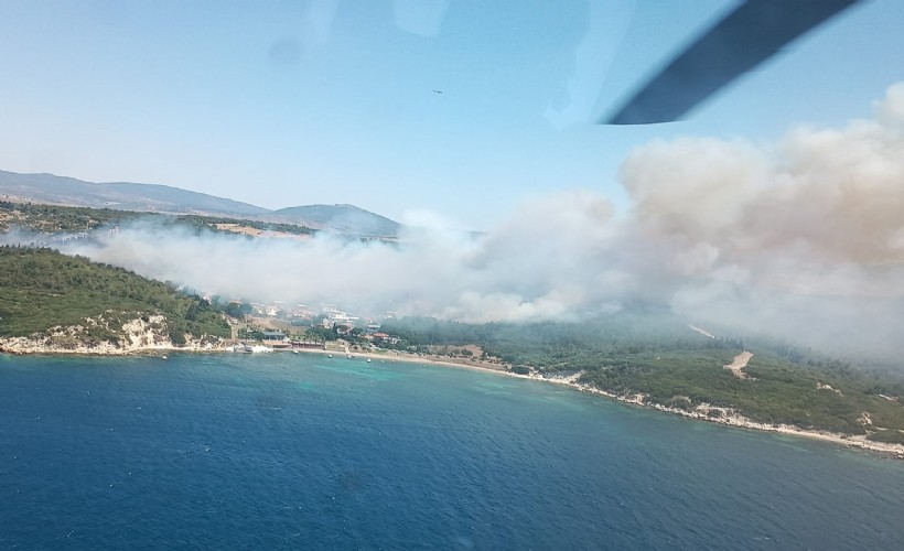 İzmir'in iki ilçesinde aynı anda orman yangını