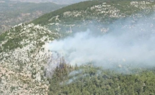 Milas'ta orman yangını
