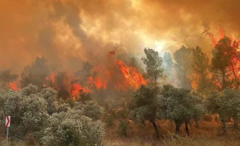 Muğla ve Adana'da orman yangını