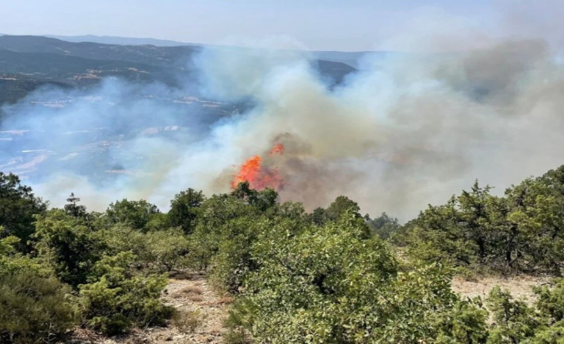 Bolu, Antalya ve Denizli’de orman yangını