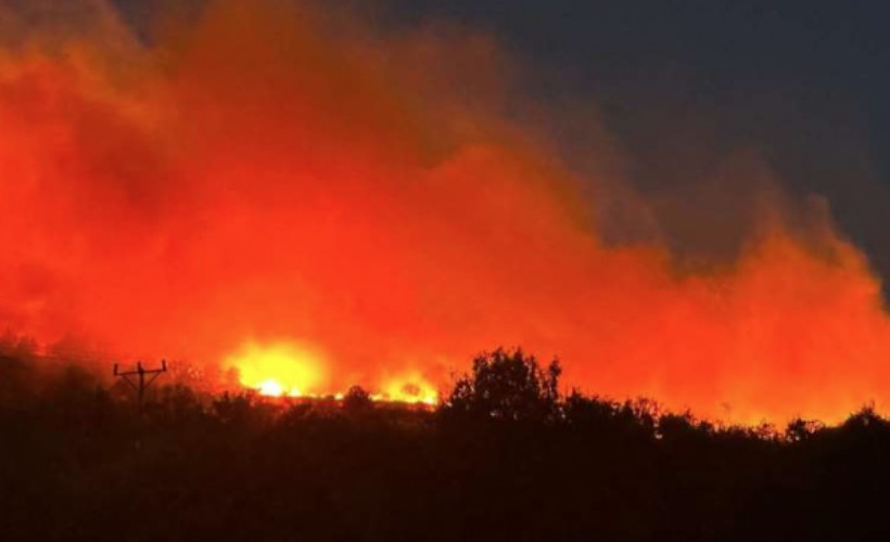 Diyarbakır’da orman yangını: Rüzgarın etkisiyle geniş bir alana yayıldı!