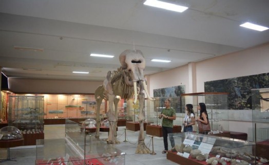 Ege'nin bilim vitrini: Tabiat Tarihi Koleksiyonu