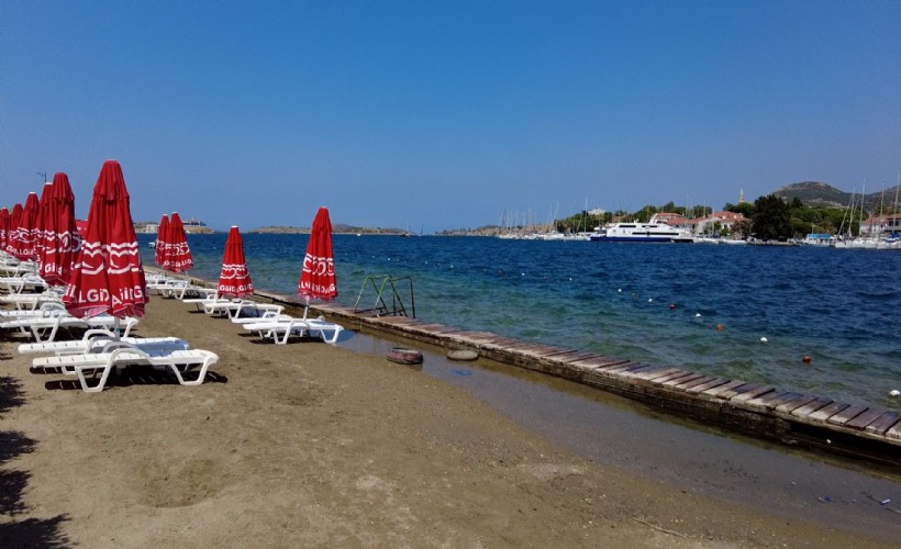 Foça'da turizmi denizanası vurdu, plajlar boş kaldı