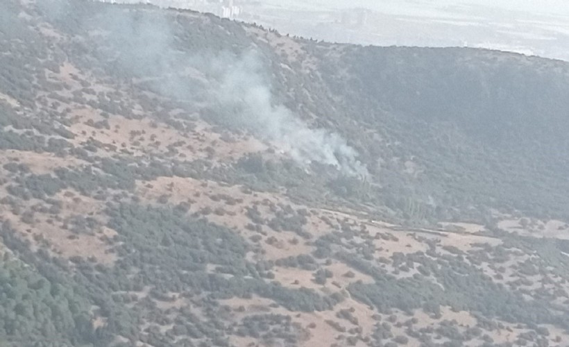 İzmir’de iki ayrı orman yangını kontrol altına alındı