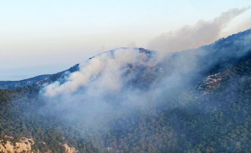 Kemalpaşa'da orman yangını çıktı