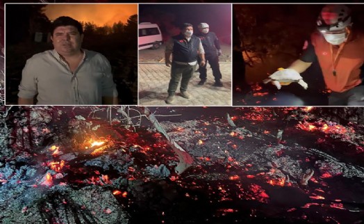 Doğancılar yangını kontrol altına alındı