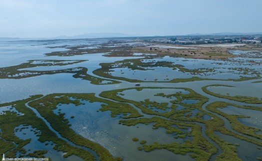 İzmir, Gediz Deltası projesiyle Ufuk Avrupa Programı'nı kazandı