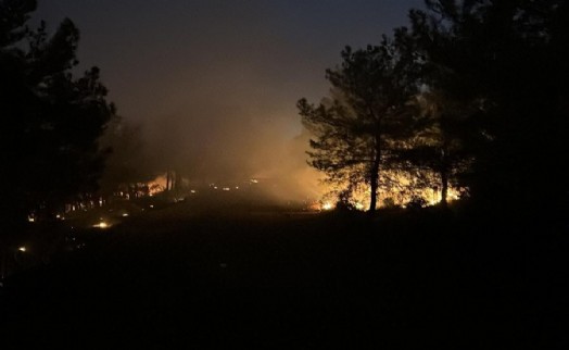 İzmir'de ormanlık alanda yangın